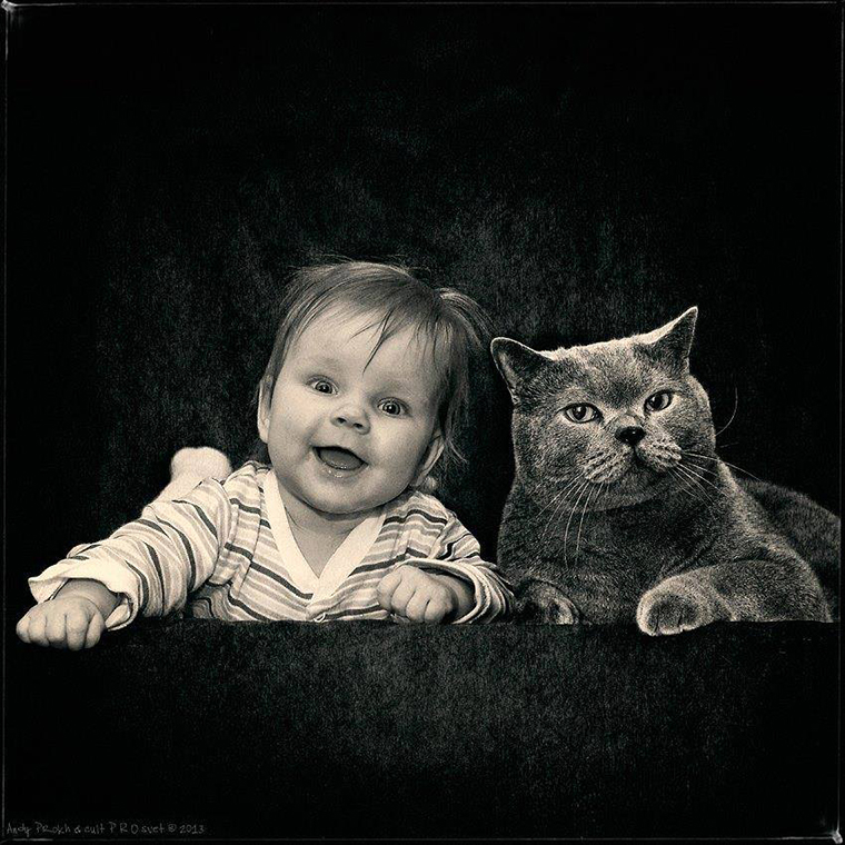 Amizade entre garotinha e um gato gorducho