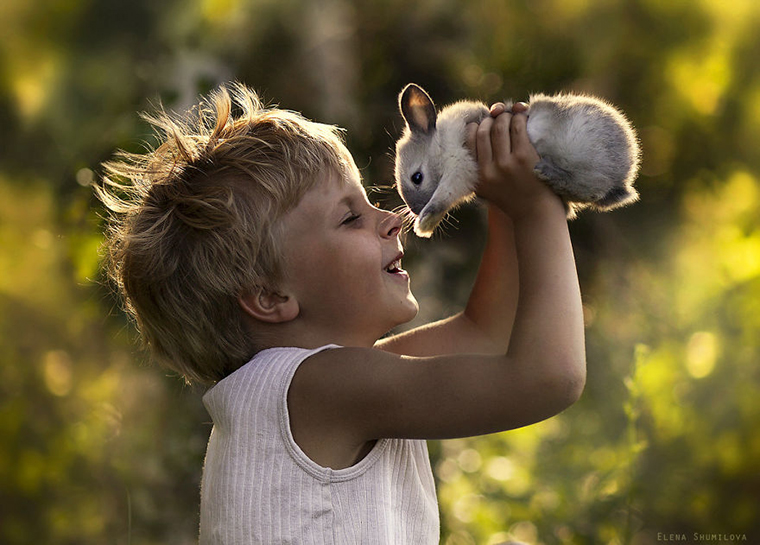 Fotógrafa tira fotos mágicas com seus dois filhos e animais